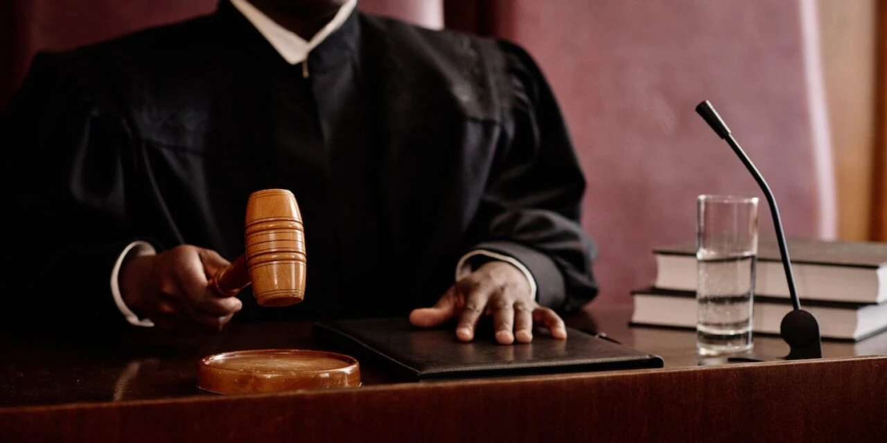 What is the Purpose of the Georgia Court of Appeals?